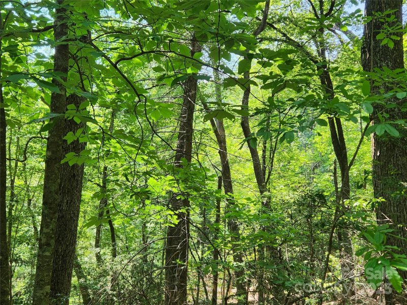 Property image 3 at Lot 185 186 Weaver Lane, Lake Lure, NC 28746