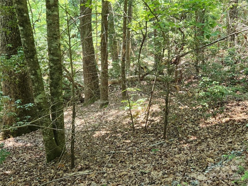 Property image 4 at Lot 185 186 Weaver Lane, Lake Lure, NC 28746