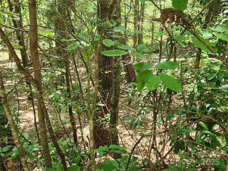 Property image 5 at Lot 185 186 Weaver Lane, Lake Lure, NC 28746