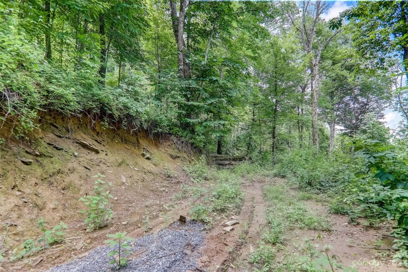 Property image 5 at 0 Centurian Lane, Maggie Valley, NC 28751