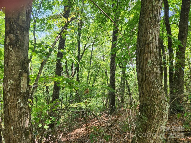 Lot 117 118 132 Summit Court