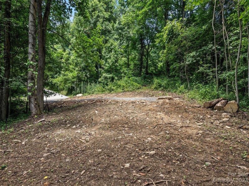 Property image 5 at Lot 2 Sage Lane, Waynesville, NC 28785