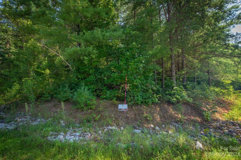 Property image 5 at 1017 Sale Drive, Morganton, NC 28655