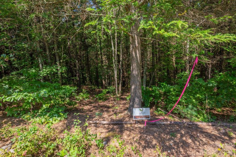 Property image 5 of 1077 Greene Court in Hawksbill at Lake James, Morganton, NC 28655