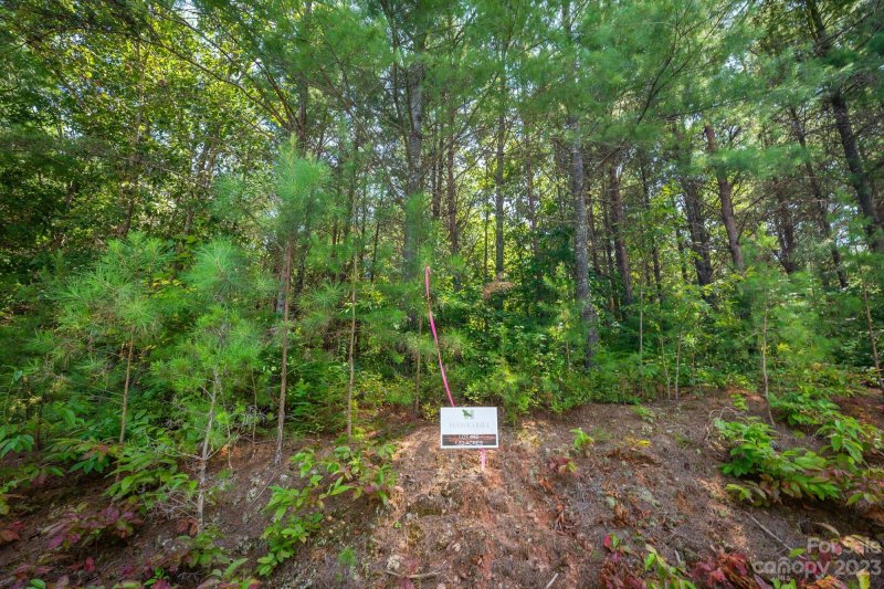 Property image 5 at 1052 Greene Court, Morganton, NC 28655