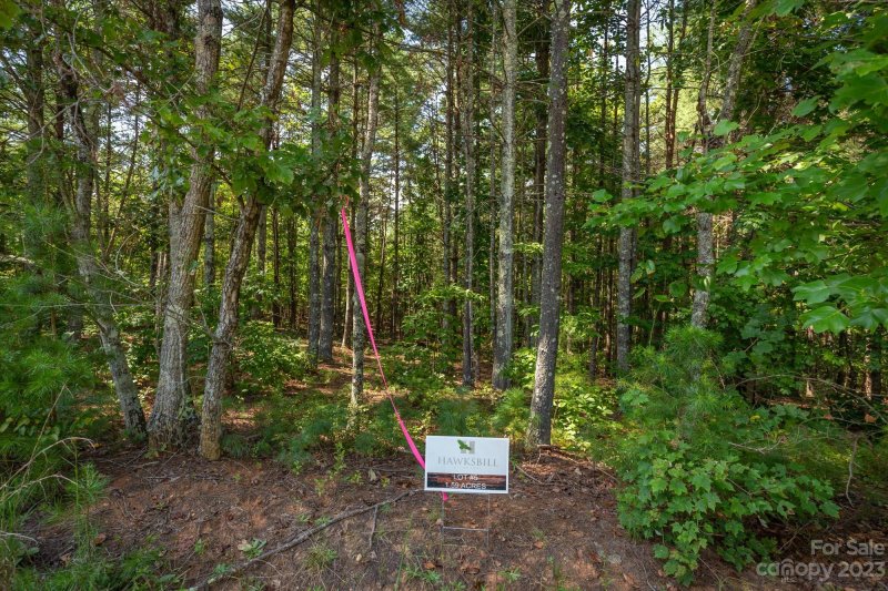 Property image 5 at 1103 Hawksbill Drive, Morganton, NC 28655