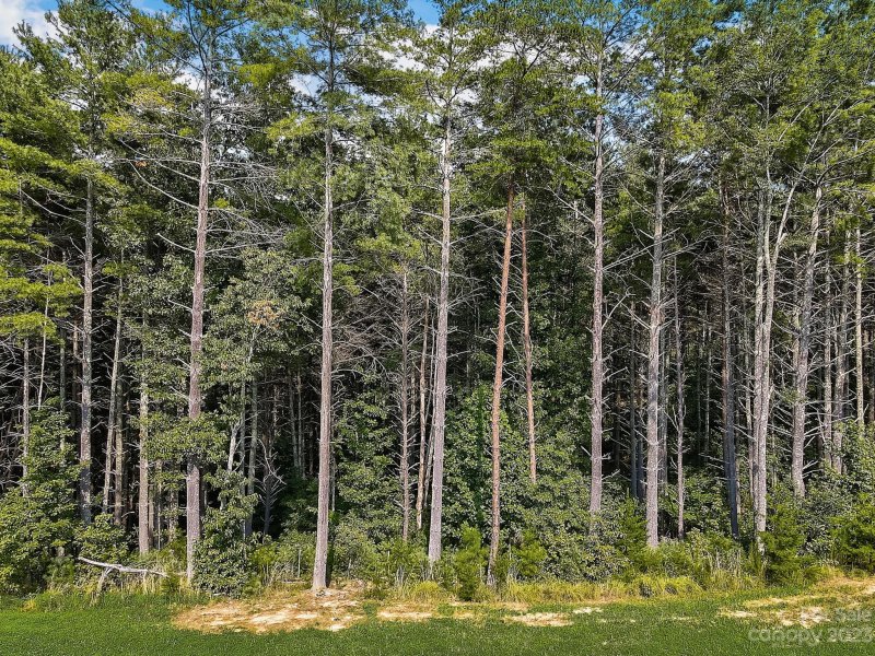 Property image 3 at 597 Peninsula Reserve Road, Nebo, NC 28761