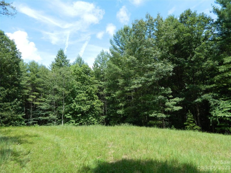 6 43 Acres Narrow Gauge Drive