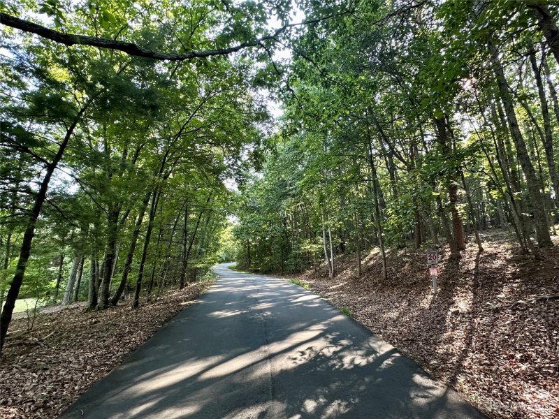 Property image 5 at 557 Spanish Oak Lane, Gastonia, NC 28056