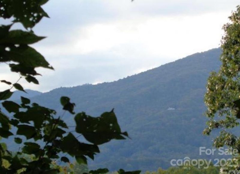 Property image 3 at 800 Henry Dingus Way, Maggie Valley, NC 28751