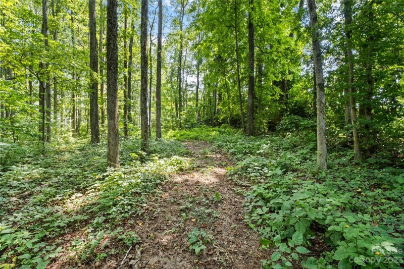 Property image 5 at 295 Torrington Drive, Mt Ulla, NC 28125