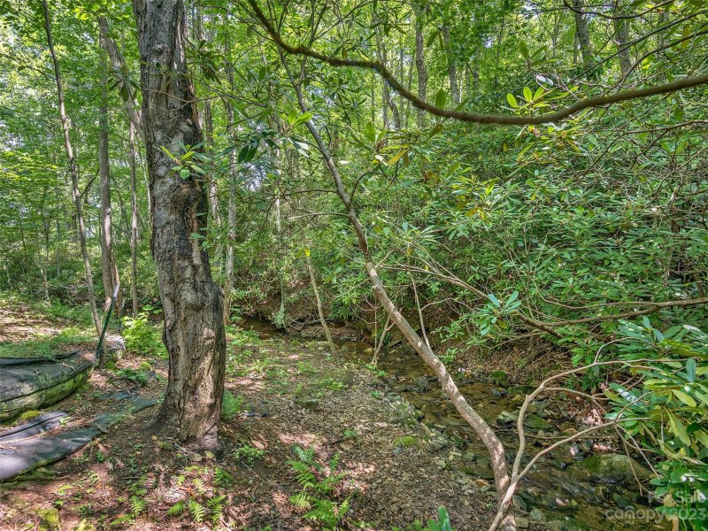 Property image 5 at 8 Deer Horn Circle, Black Mountain, NC 28711