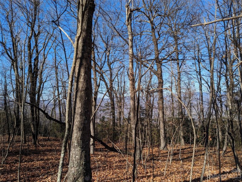 Property image 2 at Tbd Wolf Pen Road, Old Fort, NC 28762