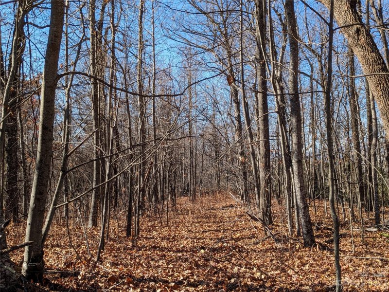 Property image 4 at Tbd Wolf Pen Road, Old Fort, NC 28762