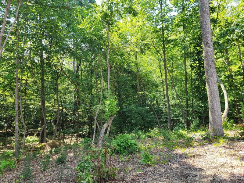 Property image 5 at 6634 Sadler Road, Waxhaw, NC 28173