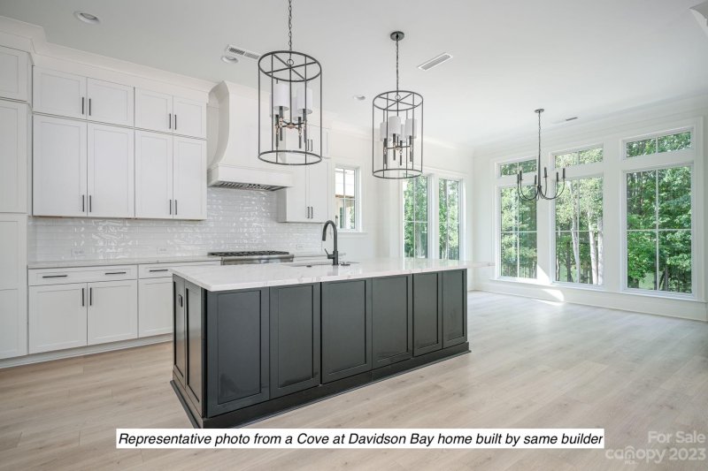 Property image 3 at 1222 Portofino Place, Davidson, NC 28036