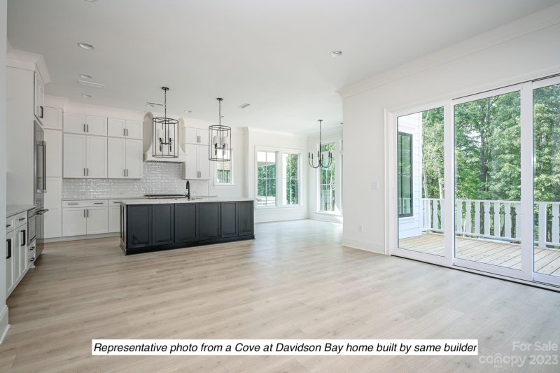 Property image 4 at 1222 Portofino Place, Davidson, NC 28036