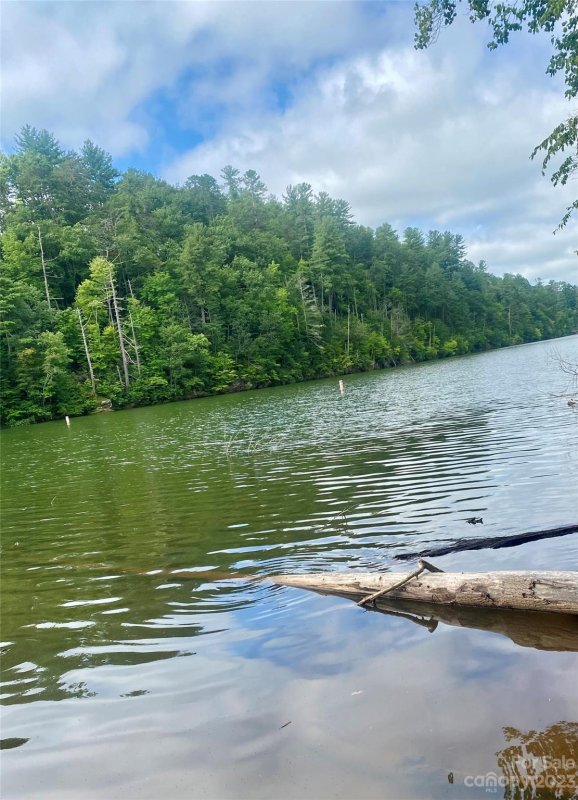 1800 Black Forest Drive