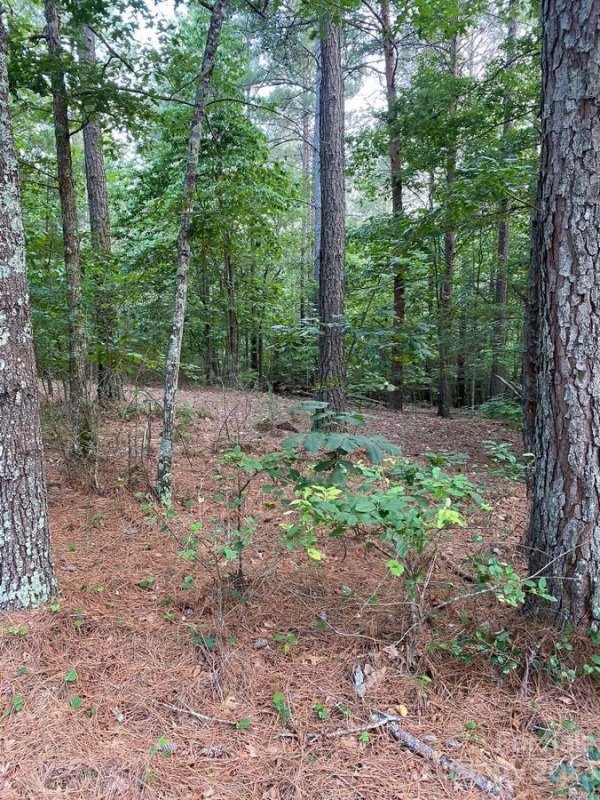 Property image 3 at 1800 Black Forest Drive, Marion, NC 28752