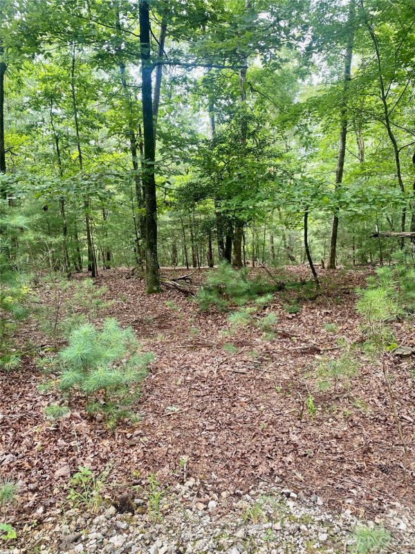 Property image 5 at 1800 Black Forest Drive, Marion, NC 28752