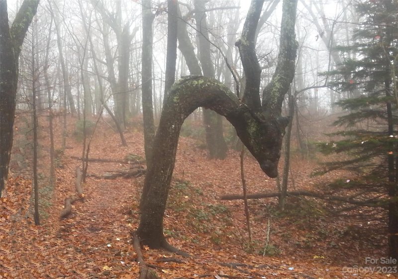 Property image 3 at 00 Jonathan Trail, Maggie Valley, NC 28751