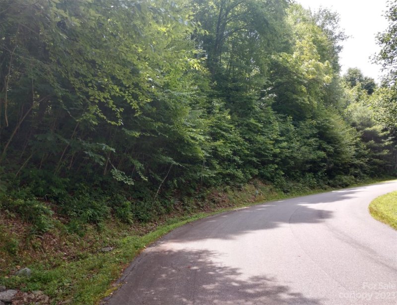 Property image 4 at 76 View Ridge Parkway, Leicester, NC 28748