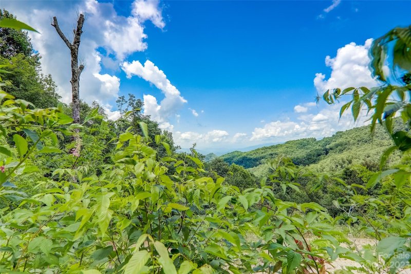 Property image 2 at 0 Centurian Lane, Maggie Valley, NC 28751