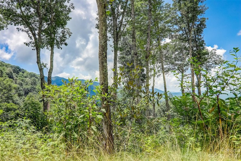 Property image 2 of 0 Centurian Lane in Cranberry Falls, Maggie Valley, NC 28751