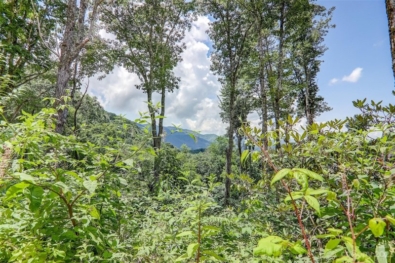 Property image 3 of 0 Centurian Lane in Cranberry Falls, Maggie Valley, NC 28751