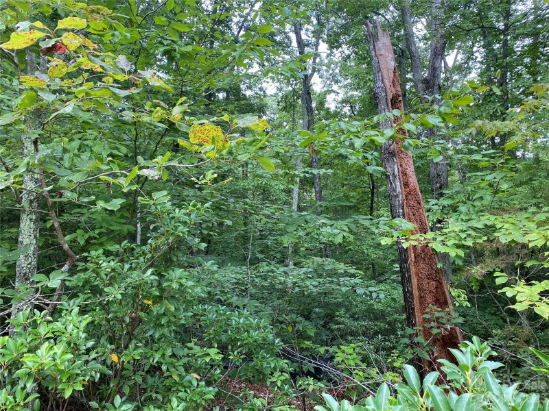 Property image 4 at Lot 87 Starling Drive, Marion, NC 28752