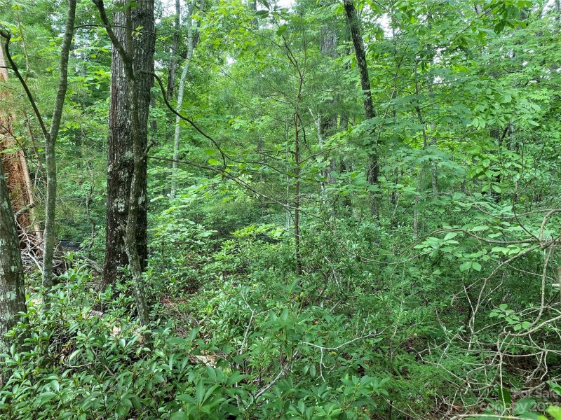 Property image 5 at Lot 87 Starling Drive, Marion, NC 28752