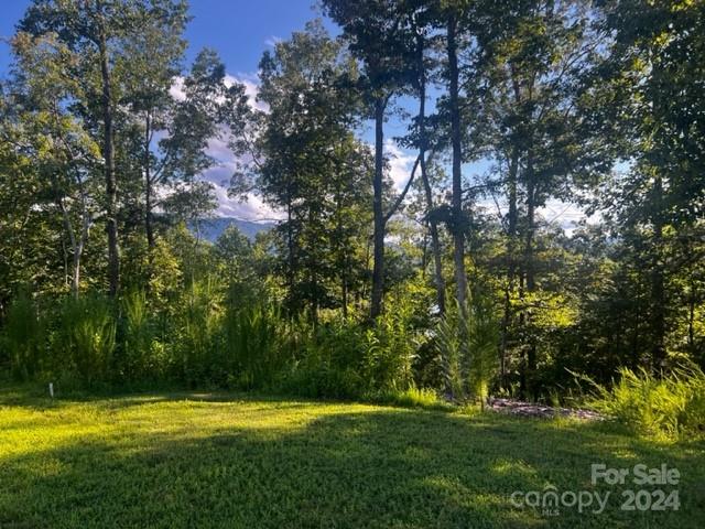Property image 2 of 23 Mountain Parkway in Lake Adger, Mill Spring, NC 28756