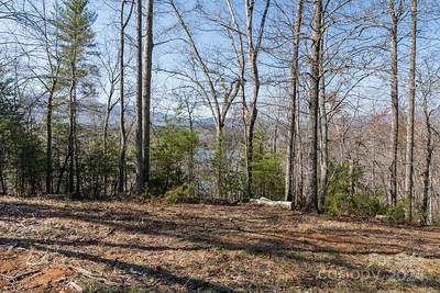 Property image 3 of 23 Mountain Parkway in Lake Adger, Mill Spring, NC 28756
