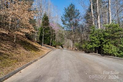 Property image 4 of 23 Mountain Parkway in Lake Adger, Mill Spring, NC 28756