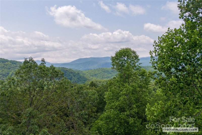 Property image 2 of 120 Ivywood Lane in Somersby Park, Laurel Park, NC 28739