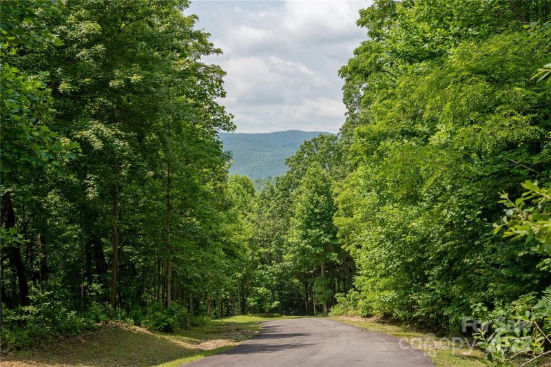 Property image 3 of 120 Ivywood Lane in Somersby Park, Laurel Park, NC 28739