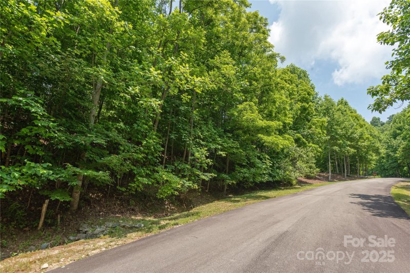 Property image 4 of 120 Ivywood Lane in Somersby Park, Laurel Park, NC 28739