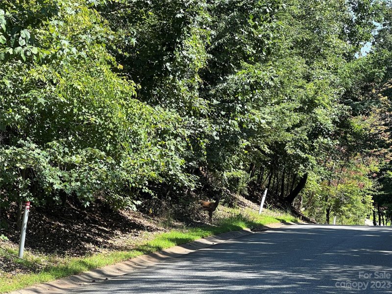 Property image 5 of 214 Mays Mills Drive in Cramer Mountain, Cramerton, NC 28032