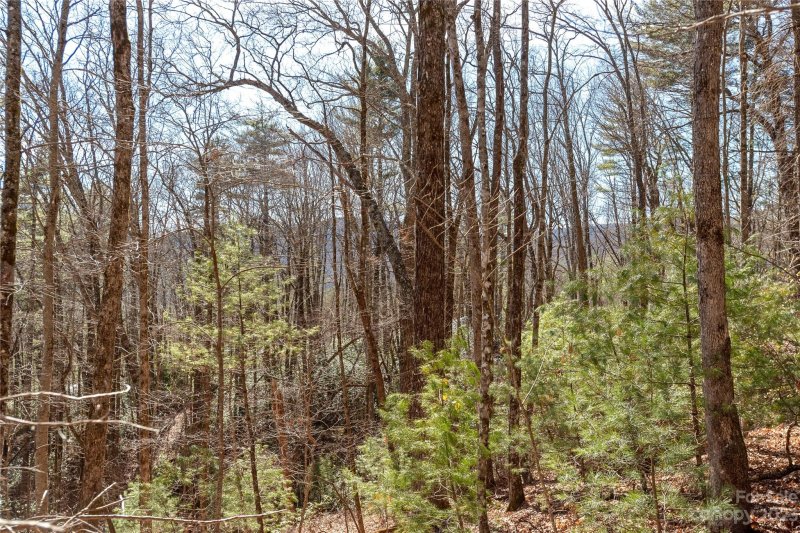 Property image 4 at Lot 35 Trillium Court, Sapphire, NC 28774