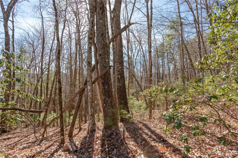 Property image 5 at Lot 35 Trillium Court, Sapphire, NC 28774