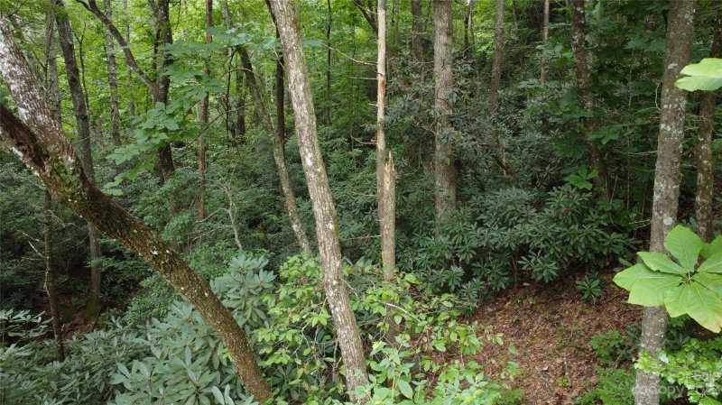 Property image 4 at 18 Trillium Lane, Brevard, NC 28712