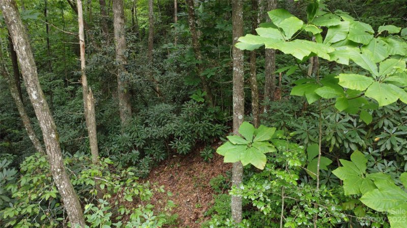 Property image 5 at 18 Trillium Lane, Brevard, NC 28712