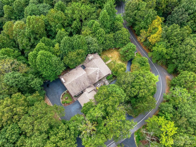 Property image 3 at 47 Chestnut Ridge Road, Mills River, NC 28759