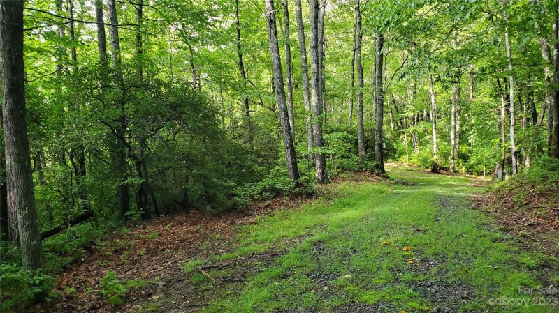 Property image 2 at 34 Maple Ridge Road, Rosman, NC 28772