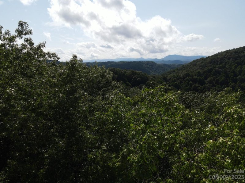 Property image 3 at 34 Maple Ridge Road, Rosman, NC 28772