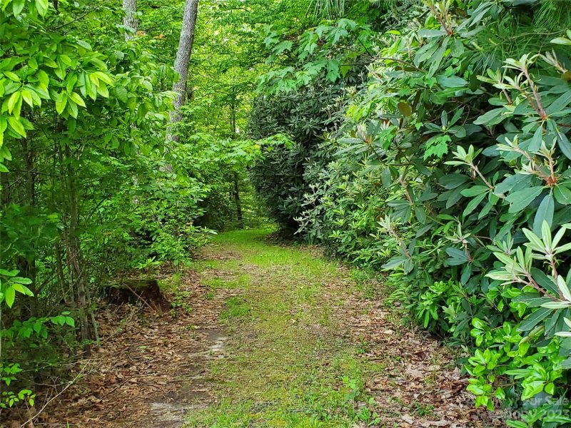 Property image 3 at 2349 Pisgah Forest Drive, Pisgah Forest, NC 28768