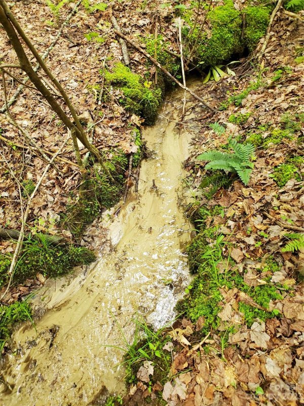 Property image 5 at 2349 Pisgah Forest Drive, Pisgah Forest, NC 28768