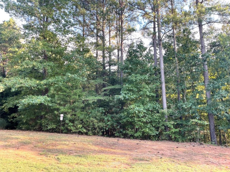 Property image 3 at 150 Summerwind Drive, Mooresville, NC 28117