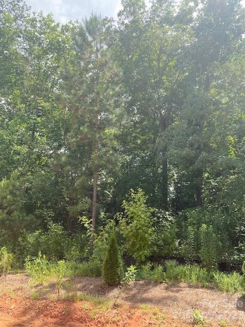 Property image 2 at 10428 Audubon Ridge Drive, Cornelius, NC 28031