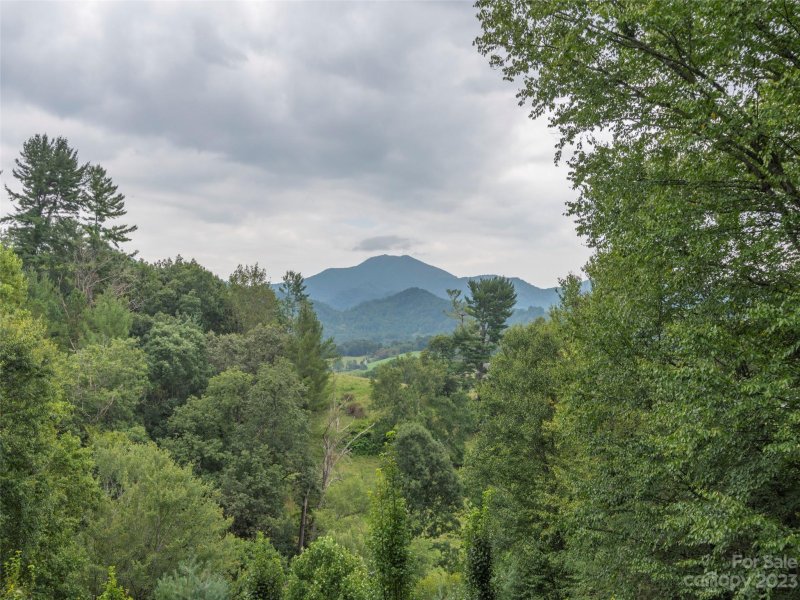 Property image 4 at 527 Coyote Hollow Road, Waynesville, NC 28785